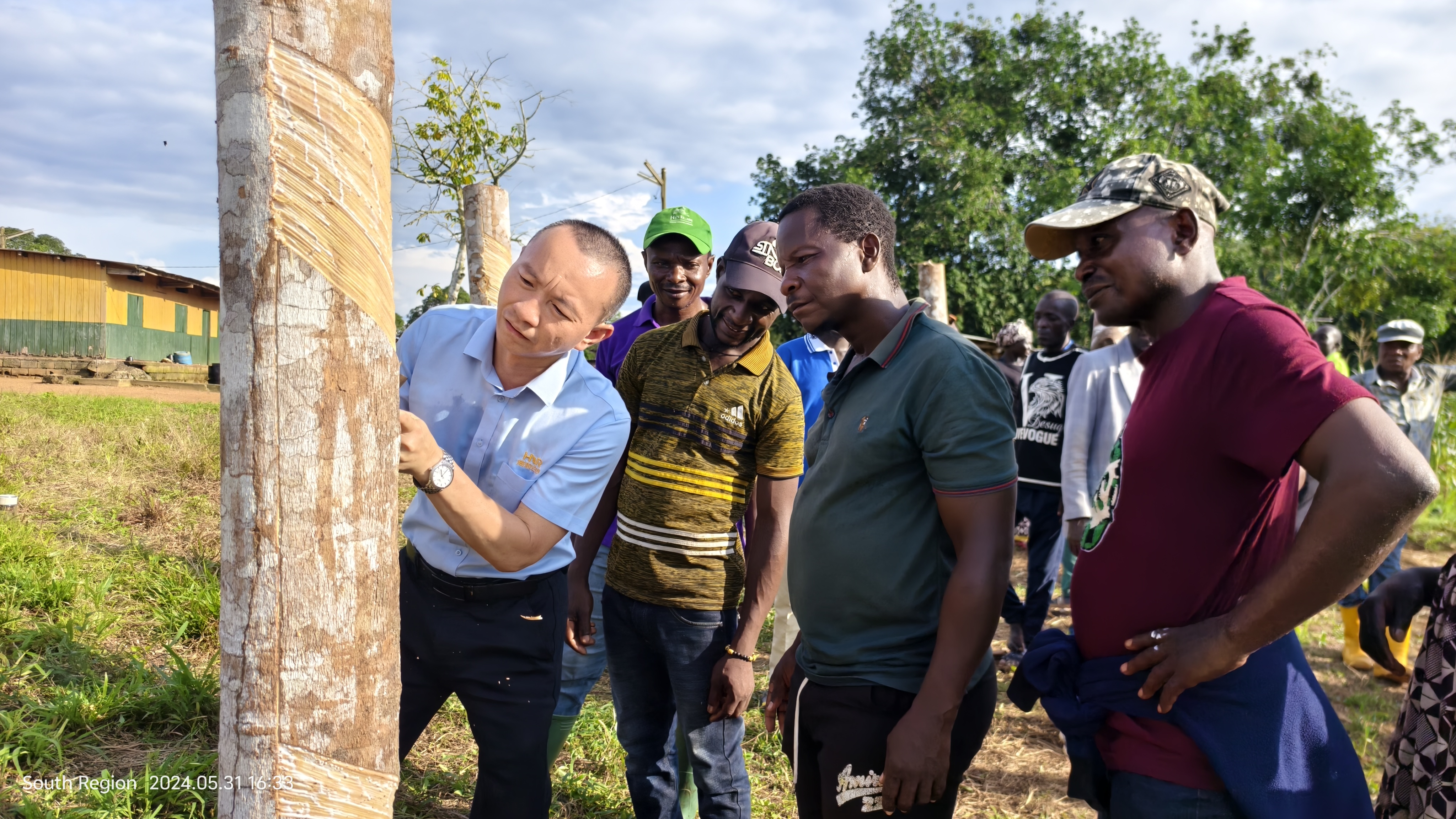 1721178924309032286.jpg 1721178924309032286.jpg