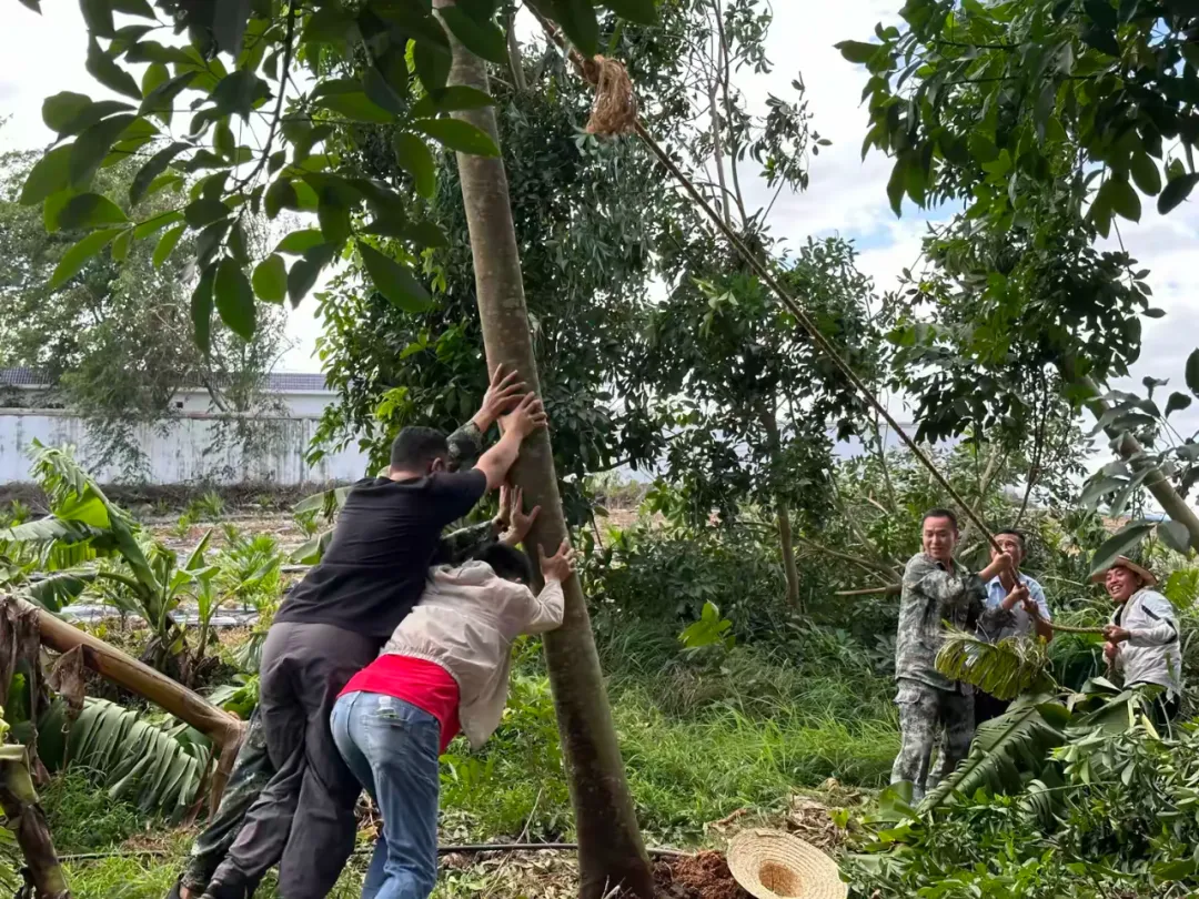 1726058599099002628.jpg 1726058599099002628.jpg