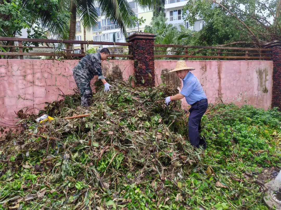 1726284130555045466.jpg 1726284130555045466.jpg