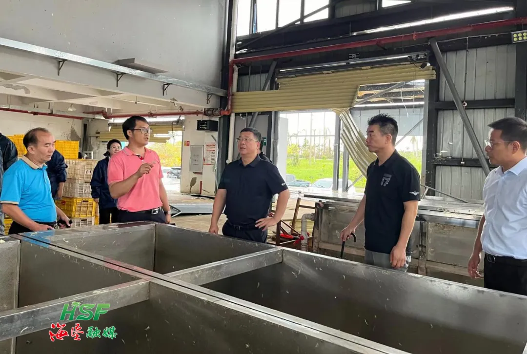 1726284551408087510.jpg 1726284551408087510.jpg