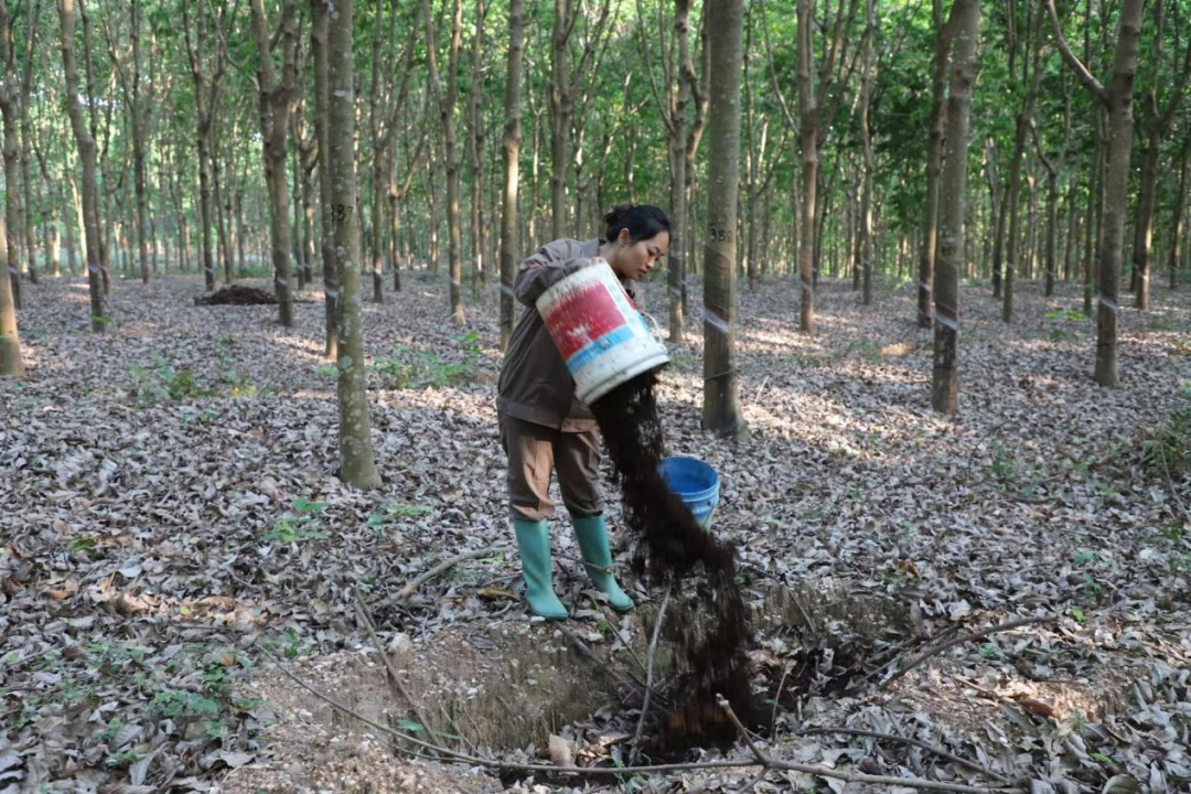 1747623286721072076.jpg 1747623286721072076.jpg