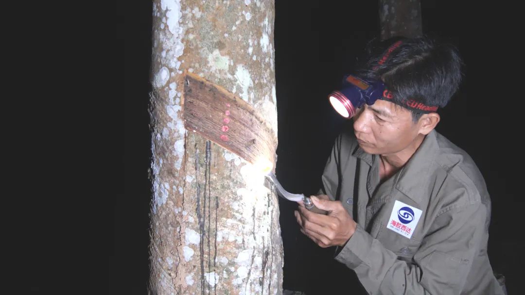 1747624431035094041.jpg 1747624431035094041.jpg