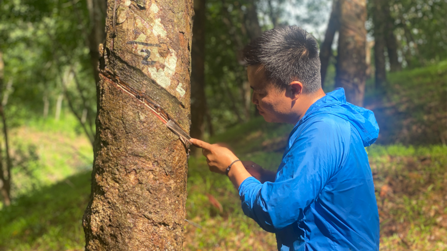 1747730613407093965.jpg 1747730613407093965.jpg