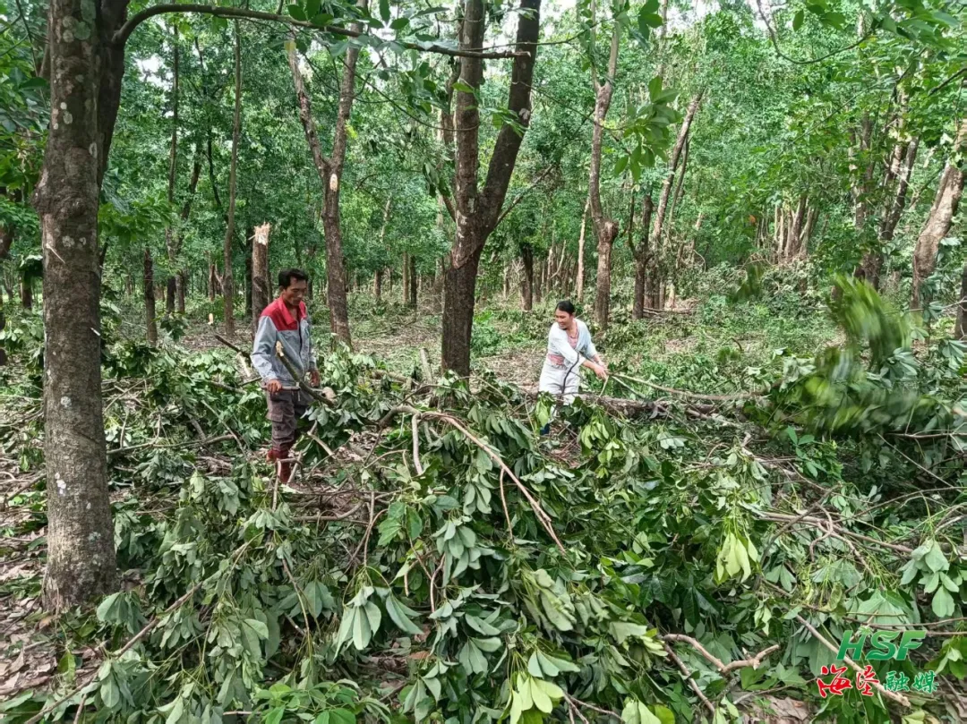 1755045181228056578.jpg 1755045181228056578.jpg